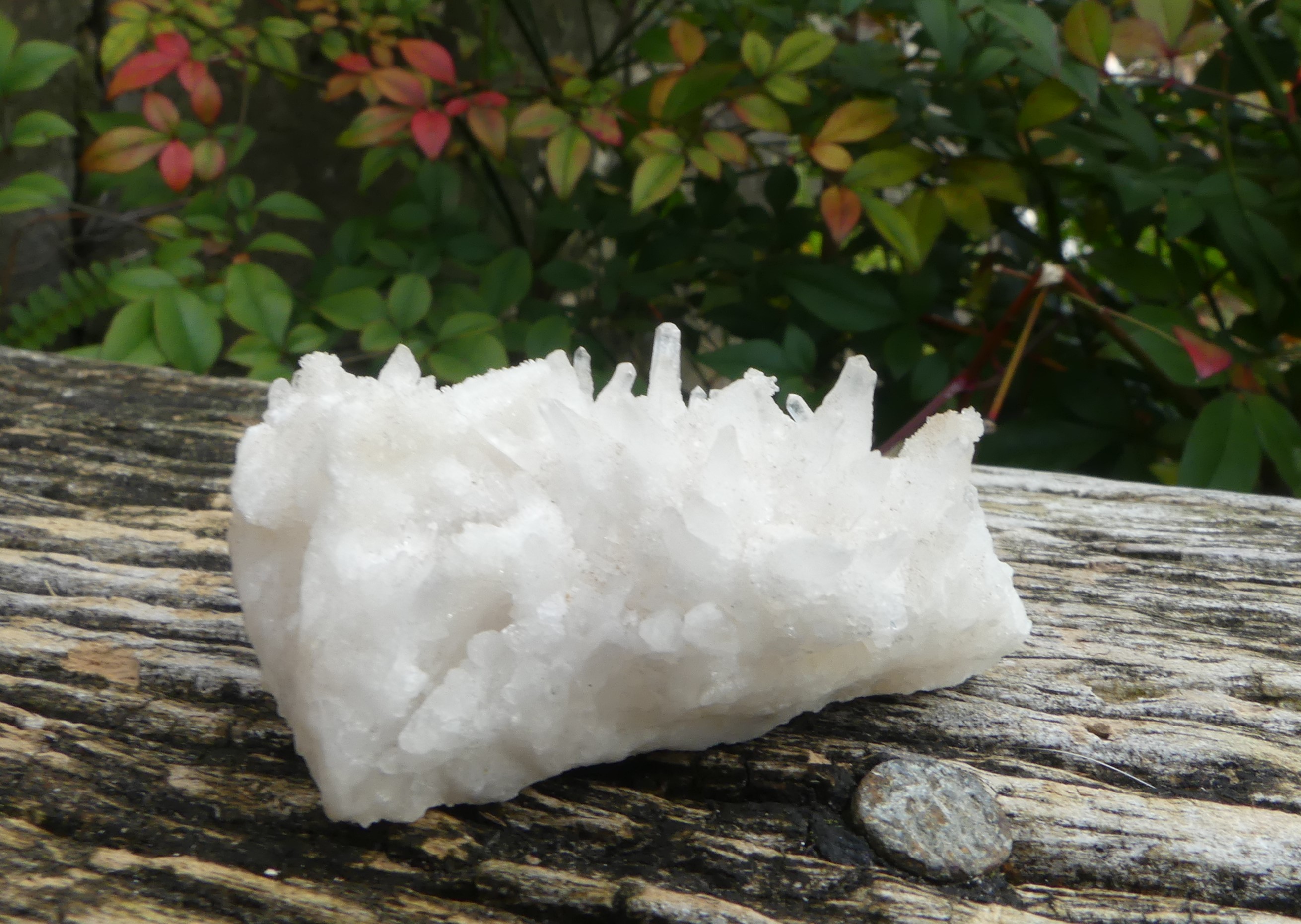 Sauralite Azeztulite™ Cluster | Crystal Visions NZ