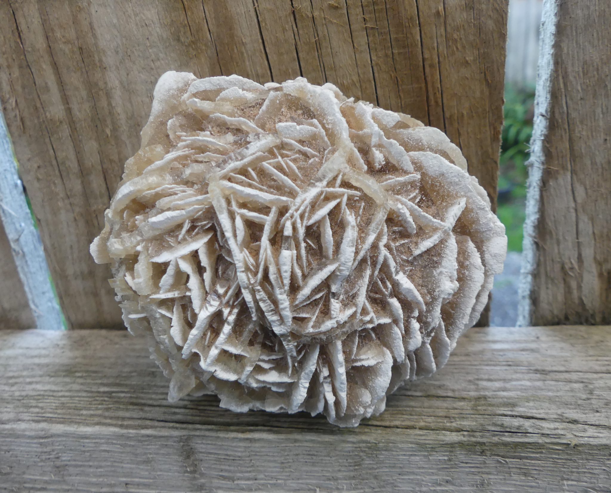 desert-rose-specimen-crystal-visions-nz