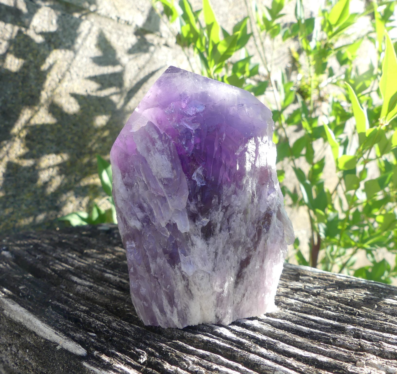 Elestial Amethyst from Brazil with cut base. – Crystal Visions NZ